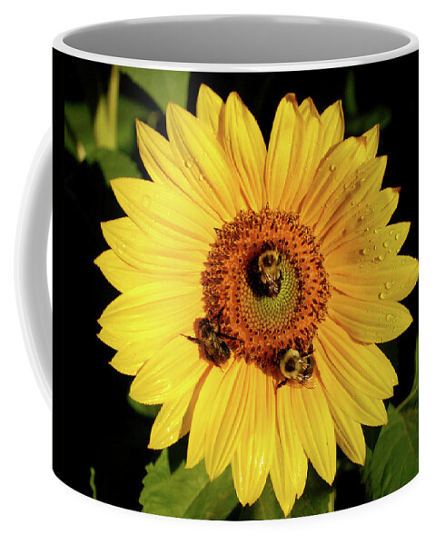Sunflower Coffee Mug featuring the photograph Sunflower and Bees by Nancy Landry