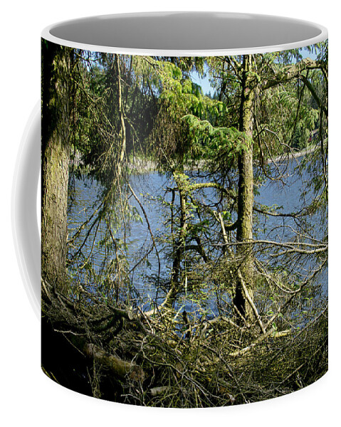 Beecraigs Coffee Mug featuring the photograph Sun of the loch afternoon. by Elena Perelman