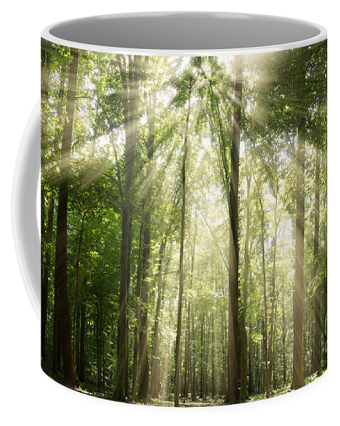 Sun Coffee Mug featuring the photograph Sun Rays Through Treetops Rural Landscape by PIPA Fine Art - Simply Solid