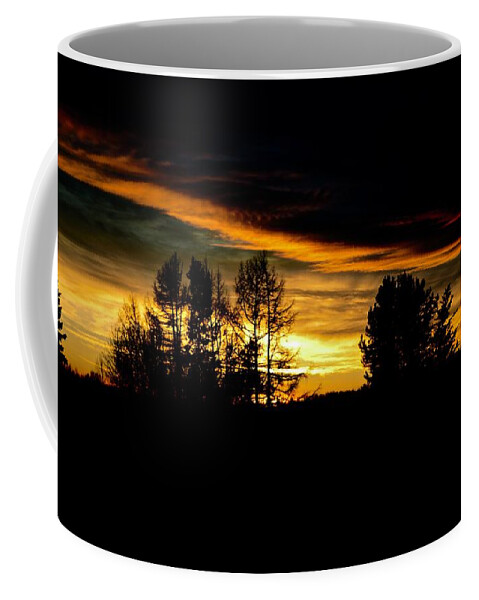  Coffee Mug featuring the photograph Sun setting November by Brian Sereda