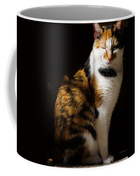 Cat Coffee Mug featuring the photograph Basking by Rachel Morrison