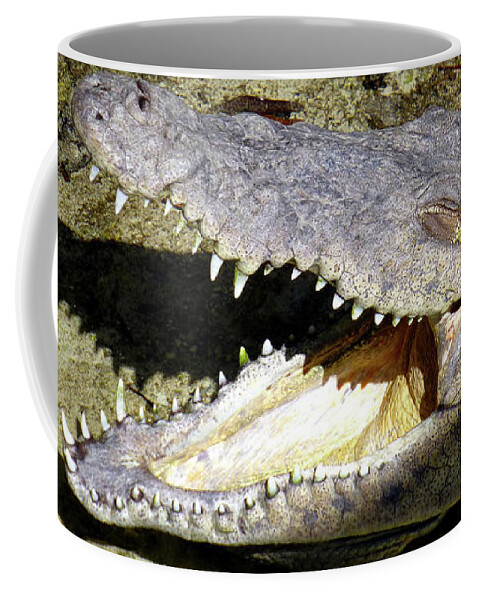 Crocodile Coffee Mug featuring the photograph Sunbathing croc by Francesca Mackenney