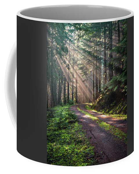 Landscape Coffee Mug featuring the photograph Sunbeam in Trees portrait by Jason Brooks