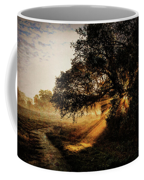 Beam Coffee Mug featuring the photograph Sunbeam Sunrise by Pete Rems