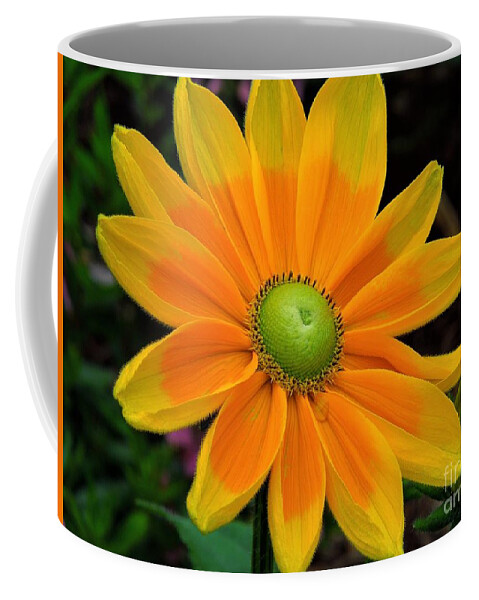 Flower Coffee Mug featuring the photograph Sunburst by Chad and Stacey Hall