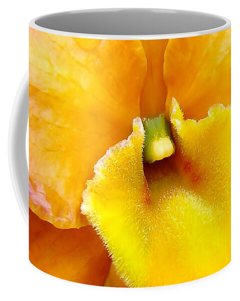 Orchid Coffee Mug featuring the photograph Sunburst Orchid by Sue Melvin