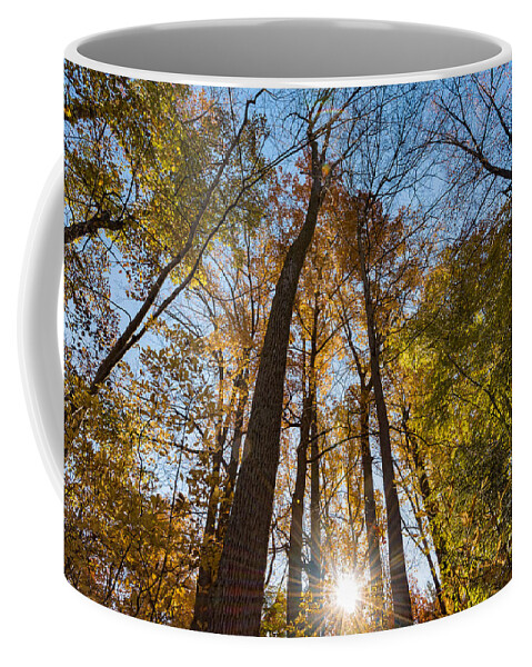 Fall Coffee Mug featuring the photograph Sunburst through Autumn Trees by Alissa Beth Photography
