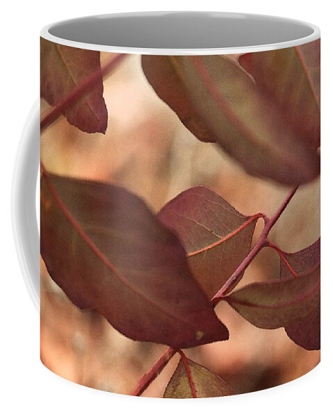 Eucalyptus Coffee Mug featuring the photograph Sunday by Amy Neal