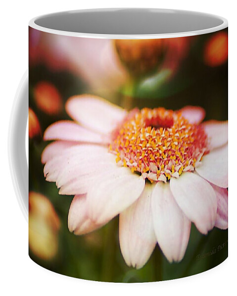 Landscape Coffee Mug featuring the photograph Sundown Flower by Eskemida Pictures