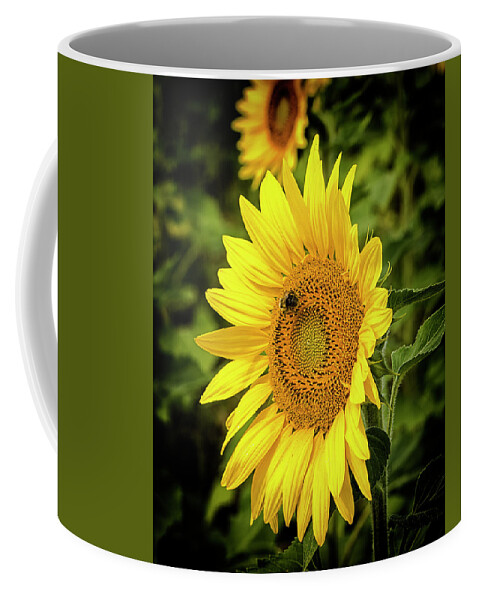 Sunflower Coffee Mug featuring the photograph Sunflower 1 by Deborah Ritch