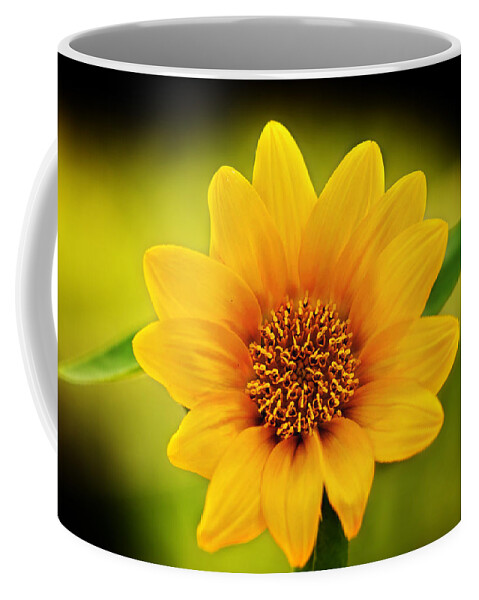 Sunflower Print Coffee Mug featuring the photograph Sunflower Baby Print by Gwen Gibson