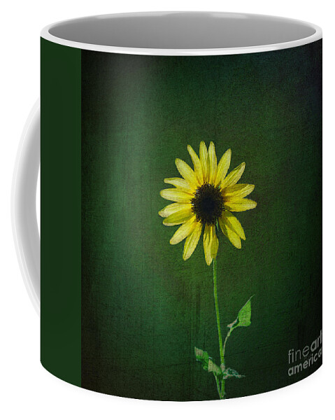 Sunflower Coffee Mug featuring the photograph Sunflower by Diane Macdonald
