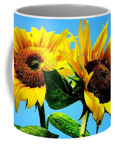Floral Coffee Mug featuring the photograph Sunflower Duo by Alexis King-Glandon