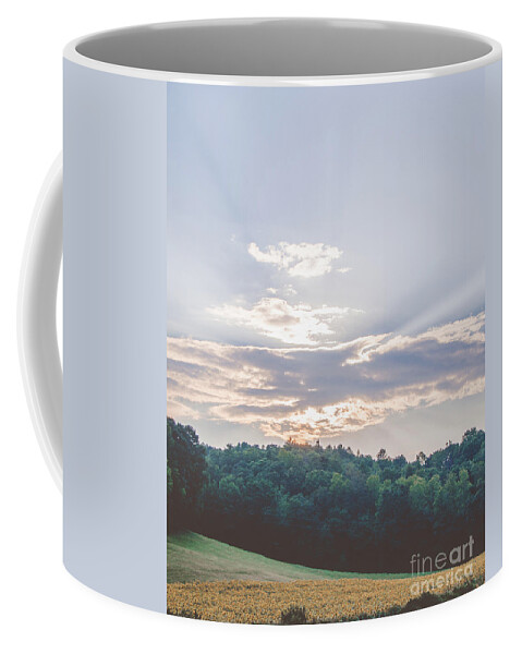 Floral Coffee Mug featuring the photograph Sunflower Field by Andrea Anderegg