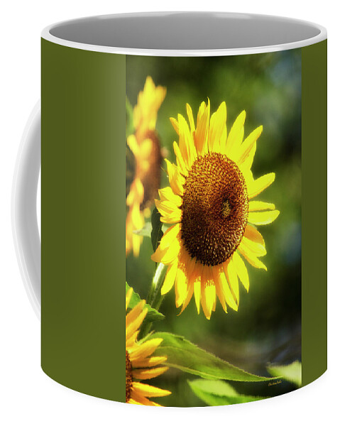 Sunflower Coffee Mug featuring the photograph Sunflower Field by Christina Rollo