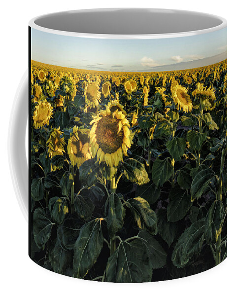 Artolena Photography Coffee Mug featuring the painting Sunflower fields by Lena Owens - OLena Art Vibrant Palette Knife and Graphic Design