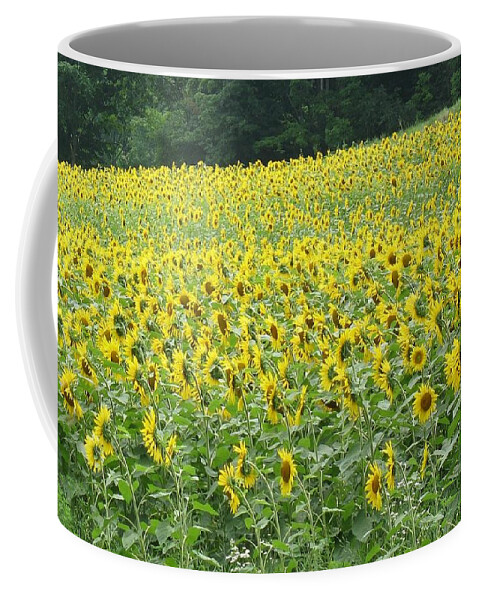 Flowers Coffee Mug featuring the photograph Sunflower Lawn by Ed Smith