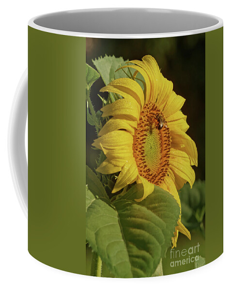 Sunflower Coffee Mug featuring the photograph SunFlower Morning by Natural Focal Point Photography