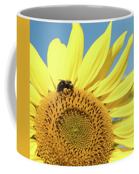 Agriculture Coffee Mug featuring the photograph Sunflower by Nick Mares