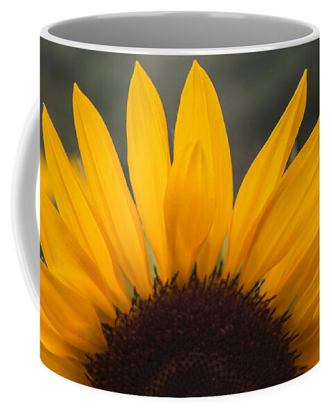 Sunflower Coffee Mug featuring the photograph Sunflower Petals by Arlene Carmel