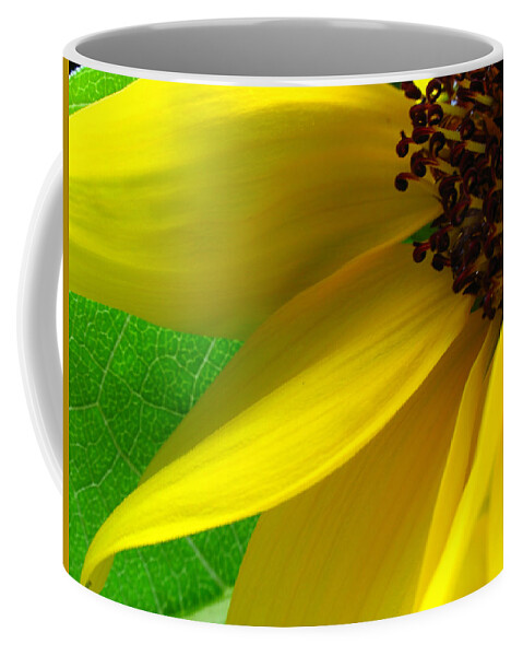 Sun Stars Coffee Mug featuring the photograph Sunflower Petals by Juergen Roth