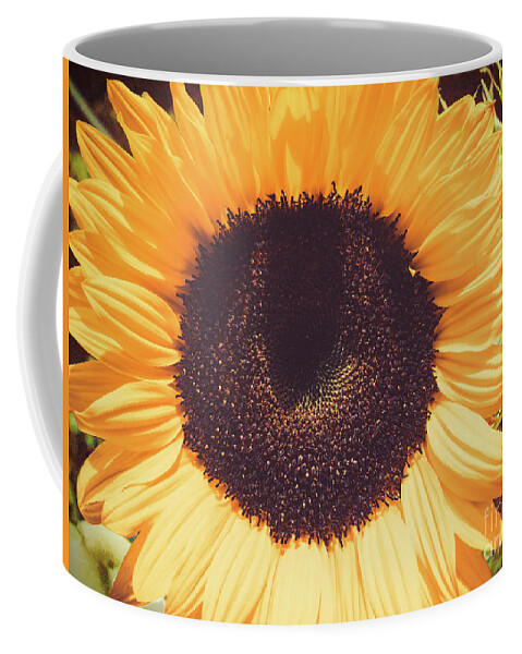 Flower Coffee Mug featuring the photograph Sunflower by Scott and Dixie Wiley