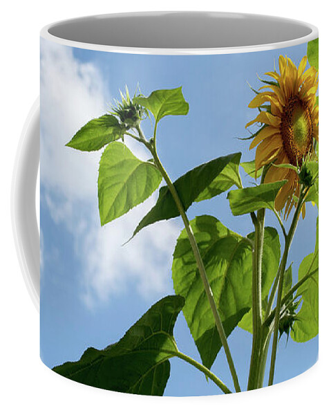 Sunflower Coffee Mug featuring the photograph Sunflower Sky by Lisa Blake