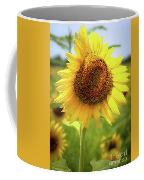 Sunflowers Coffee Mug featuring the photograph Sunflowers in Memphis II by Veronica Batterson