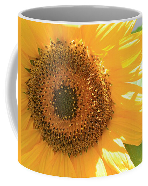 Sunflower Coffee Mug featuring the photograph Sunflowers by Marna Edwards Flavell
