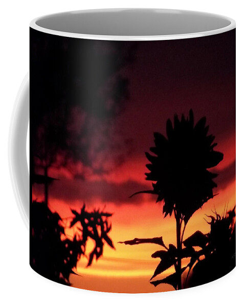 Sunflower Coffee Mug featuring the photograph Sunflower's Sunset by Harold Zimmer