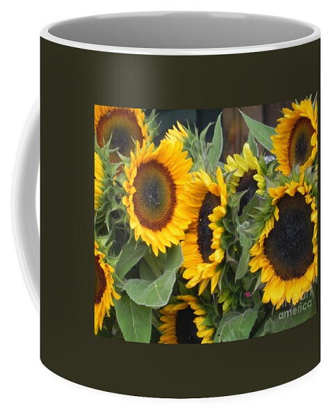 Photography Coffee Mug featuring the photograph Sunflowers two by Chrisann Ellis
