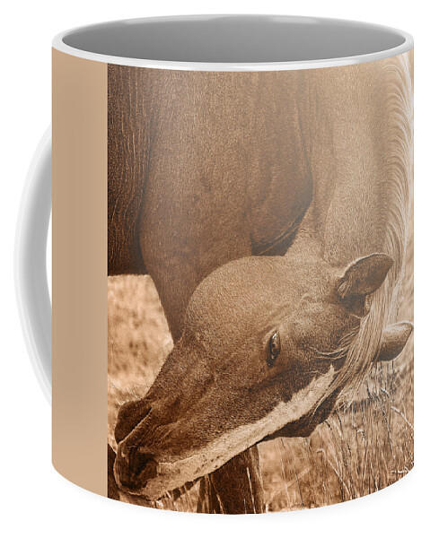 Graceful Coffee Mug featuring the photograph Sunlight and Grace by Amanda Smith