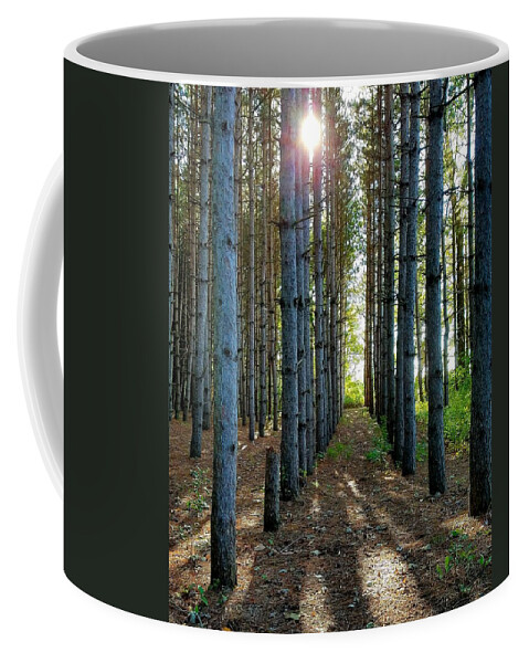 Sunlight Coffee Mug featuring the photograph Sunlight Through the Forest Trees by Vic Ritchey