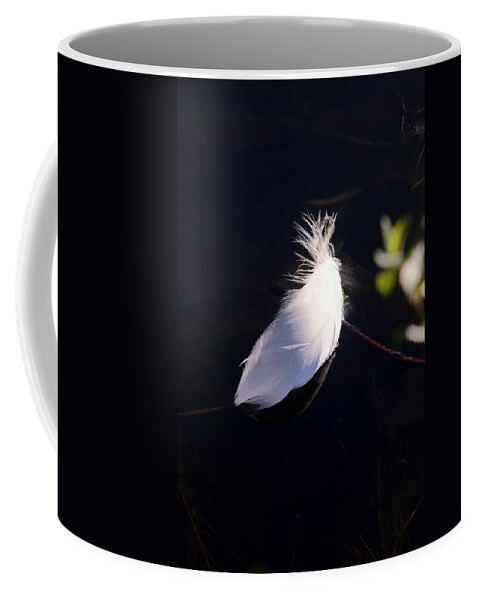 Karen Silvestri Coffee Mug featuring the photograph Sunlit Feather by Karen Silvestri
