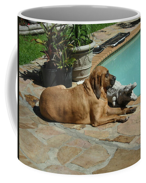 Bloodhound Coffee Mug featuring the photograph Sunning by Val Oconnor