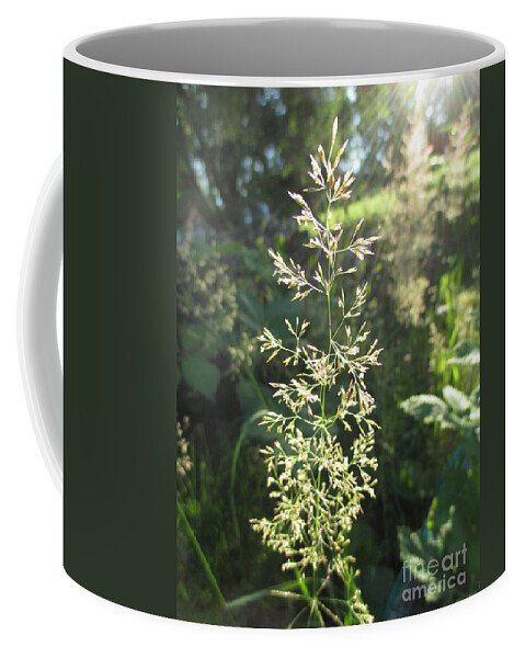 Sunny Afternoon Coffee Mug featuring the photograph Sunny Afternoon by Martin Howard