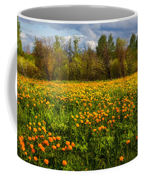 Buttercup Coffee Mug featuring the photograph Sunny Buttercups Field. Altai by Victor Kovchin