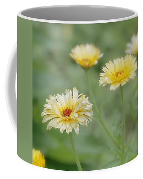 Yellow Flower Coffee Mug featuring the photograph Sunny Daze by Kim Hojnacki