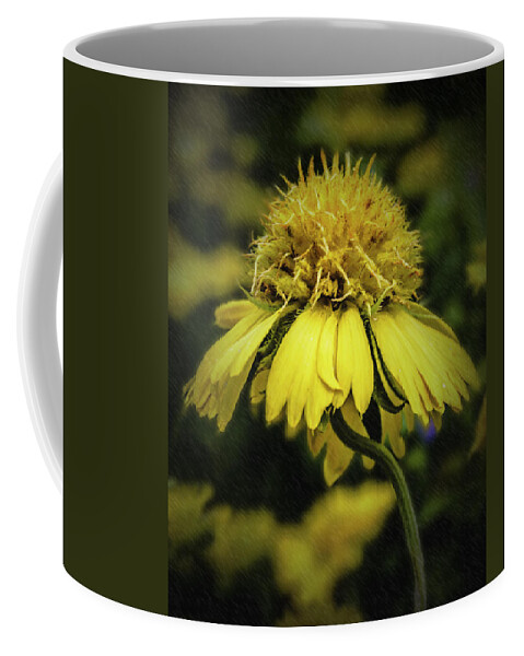 Sun Coffee Mug featuring the photograph Sunny Flower by Leticia Latocki