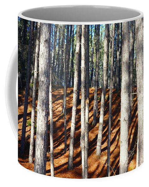 Sun Coffee Mug featuring the photograph Sunny Forest by Valentino Visentini