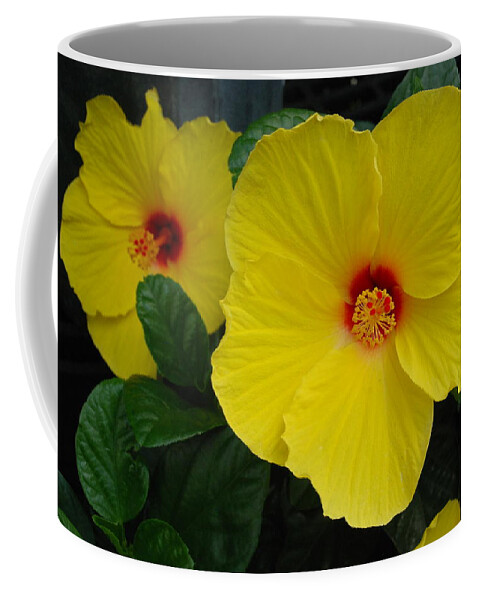 Yellow Flowers Coffee Mug featuring the photograph Sunny Hibiscus by Ee Photography