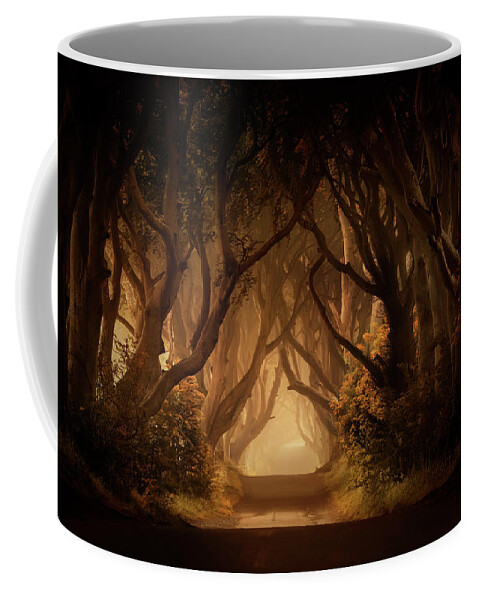 Dark Hedges In Northern Ireland Coffee Mug featuring the photograph Sunny morning in Dark Hedges by Jaroslaw Blaminsky