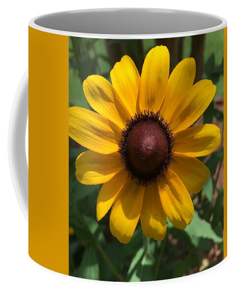 Sunflower Coffee Mug featuring the photograph Sunny by Pamela Henry