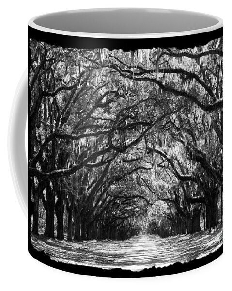 Live Oaks Coffee Mug featuring the photograph Sunny Southern Day - Black and White with Black Border by Carol Groenen