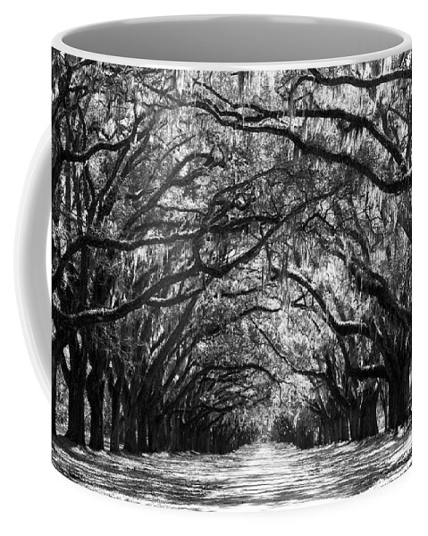 Live Oaks Coffee Mug featuring the photograph Sunny Southern Day - Black and White by Carol Groenen