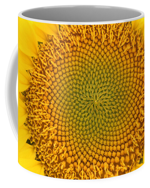 Sun Coffee Mug featuring the photograph Sunny Swirl by Karen Wagner