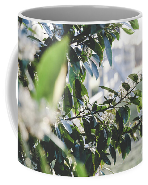 Sun Coffee Mug featuring the photograph Sunrise by Andrea Anderegg