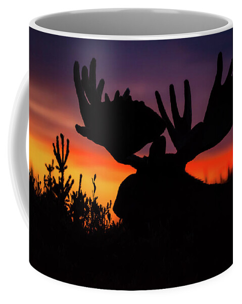 Moose Coffee Mug featuring the photograph Sunrise King by Gary Kochel