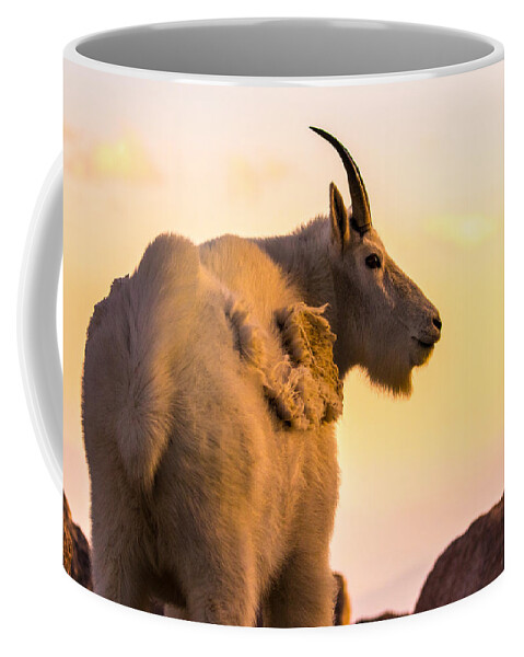 Mountain Goat Coffee Mug featuring the photograph Sunrise on the Mountain #1 by Mindy Musick King