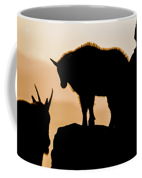 Mountain Goat Coffee Mug featuring the photograph Sunrise on the Mountain #2 by Mindy Musick King